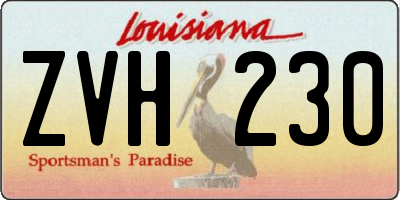 LA license plate ZVH230