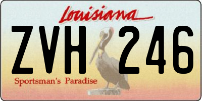 LA license plate ZVH246