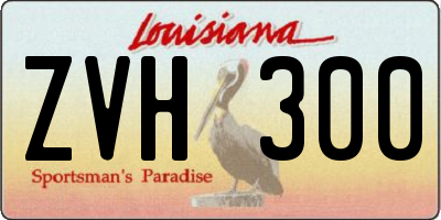 LA license plate ZVH300