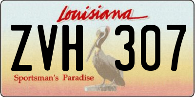 LA license plate ZVH307