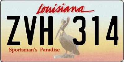 LA license plate ZVH314