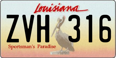 LA license plate ZVH316