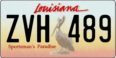 LA license plate ZVH489