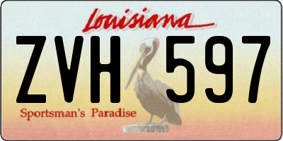 LA license plate ZVH597