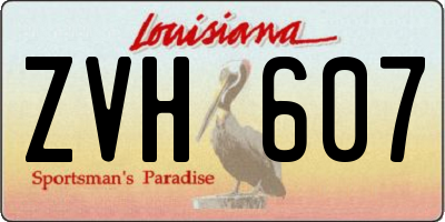 LA license plate ZVH607