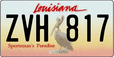 LA license plate ZVH817