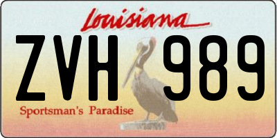 LA license plate ZVH989