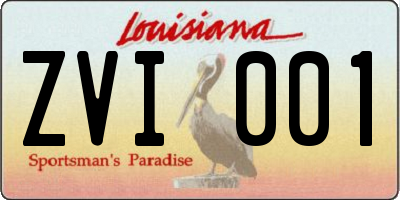 LA license plate ZVI001