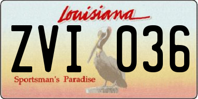 LA license plate ZVI036