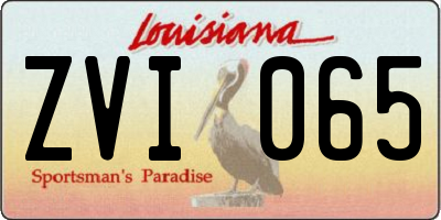 LA license plate ZVI065