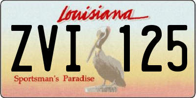 LA license plate ZVI125