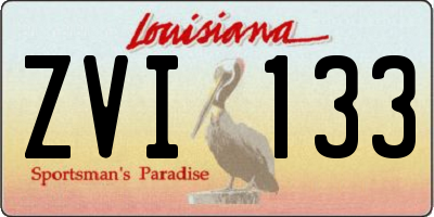 LA license plate ZVI133