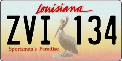 LA license plate ZVI134