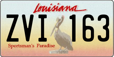 LA license plate ZVI163