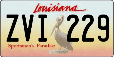 LA license plate ZVI229