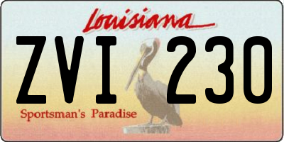 LA license plate ZVI230