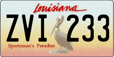 LA license plate ZVI233