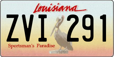 LA license plate ZVI291