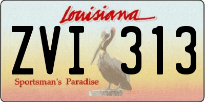 LA license plate ZVI313