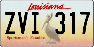 LA license plate ZVI317