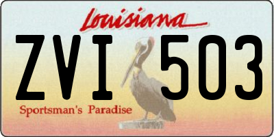 LA license plate ZVI503