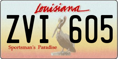 LA license plate ZVI605