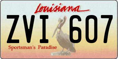 LA license plate ZVI607