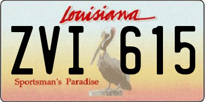 LA license plate ZVI615