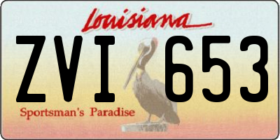 LA license plate ZVI653