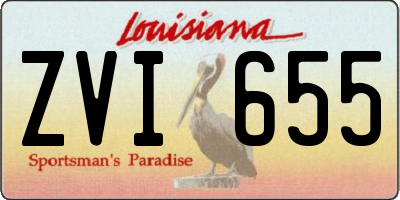 LA license plate ZVI655