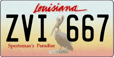 LA license plate ZVI667