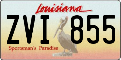 LA license plate ZVI855