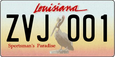 LA license plate ZVJ001