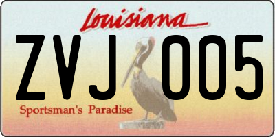 LA license plate ZVJ005