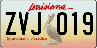 LA license plate ZVJ019