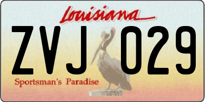 LA license plate ZVJ029