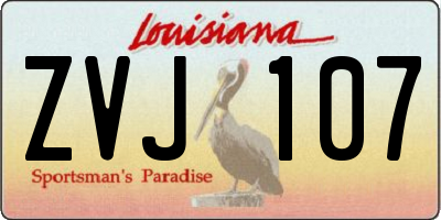 LA license plate ZVJ107