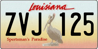 LA license plate ZVJ125