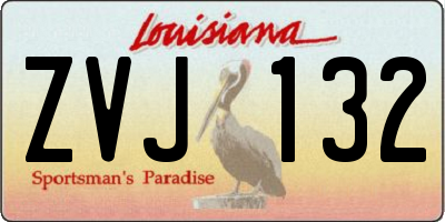 LA license plate ZVJ132