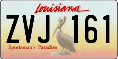 LA license plate ZVJ161