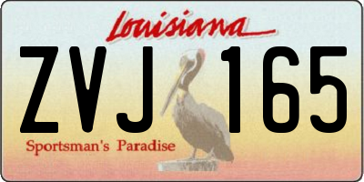 LA license plate ZVJ165