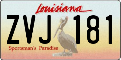 LA license plate ZVJ181