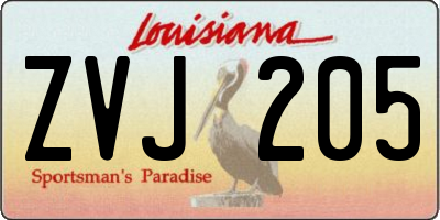LA license plate ZVJ205