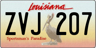 LA license plate ZVJ207