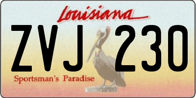 LA license plate ZVJ230