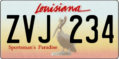 LA license plate ZVJ234