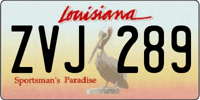 LA license plate ZVJ289
