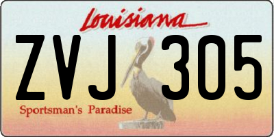 LA license plate ZVJ305