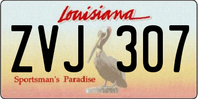 LA license plate ZVJ307