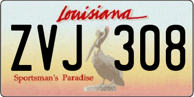 LA license plate ZVJ308